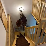Nasz Dom Nyaraló Pilchy